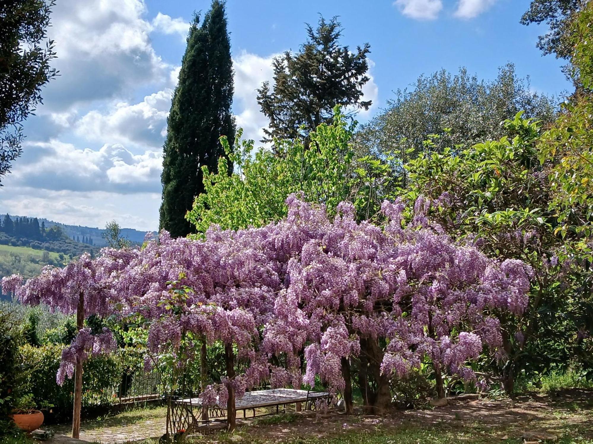 Agriturismo Villa Gorgognano Certaldo Zewnętrze zdjęcie