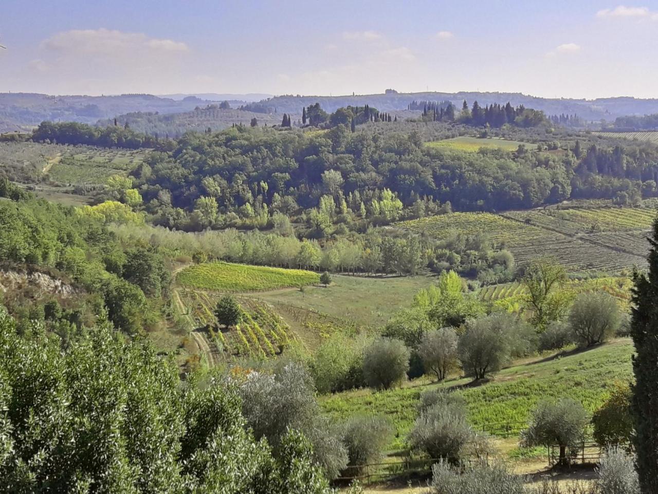 Agriturismo Villa Gorgognano Certaldo Zewnętrze zdjęcie